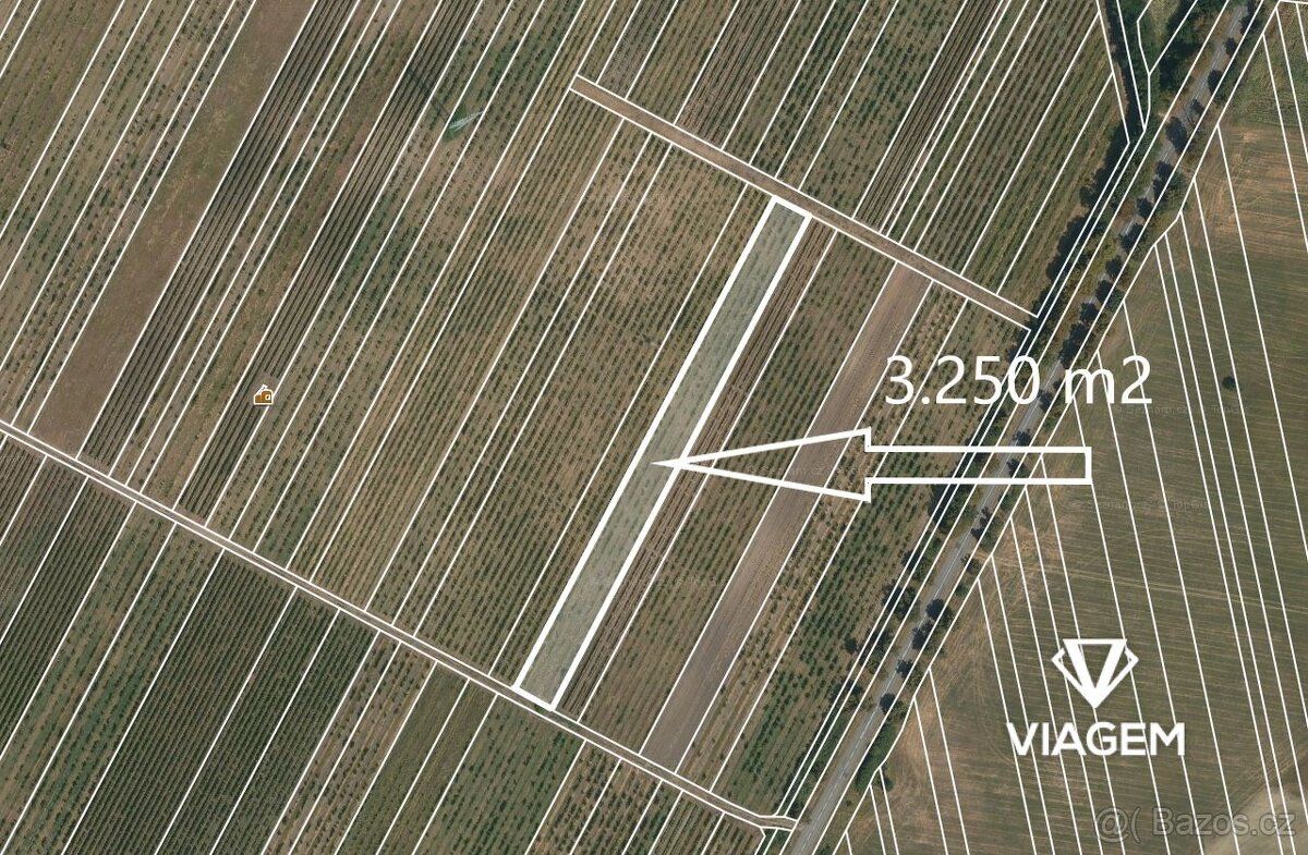 PRODEJ: Exkluzivní vinice (3 250 m²) ve Valticích – Srdci ji