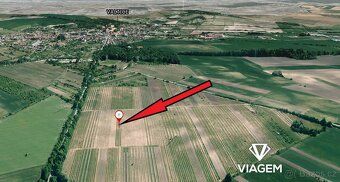 PRODEJ: Exkluzivní vinice (3 250 m²) ve Valticích – Srdci ji