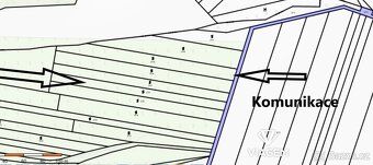 Prodej vinice (1 747 m²) v prémiové lokalitě Kobylí na Morav