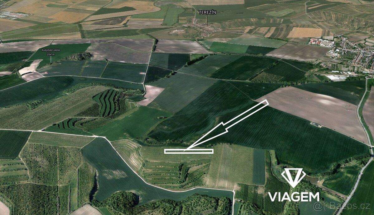 Prodej vinice (1 747 m²) v prémiové lokalitě Kobylí na Morav