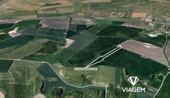 Prodej vinice (1 747 m²) v prémiové lokalitě Kobylí na Morav