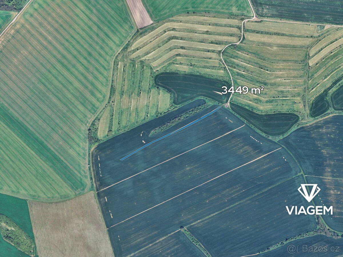 Nabízíme ornou půdu v katastrálním území Nosislav, okres Brn