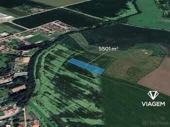 Hledáte investici, která vám zajistí stabilní příjem a ochra