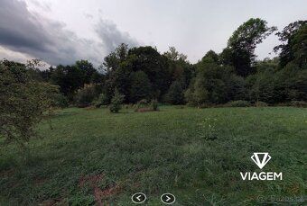 Nabízíme příležitost vlastnit podíl na lesním pozemku s velk