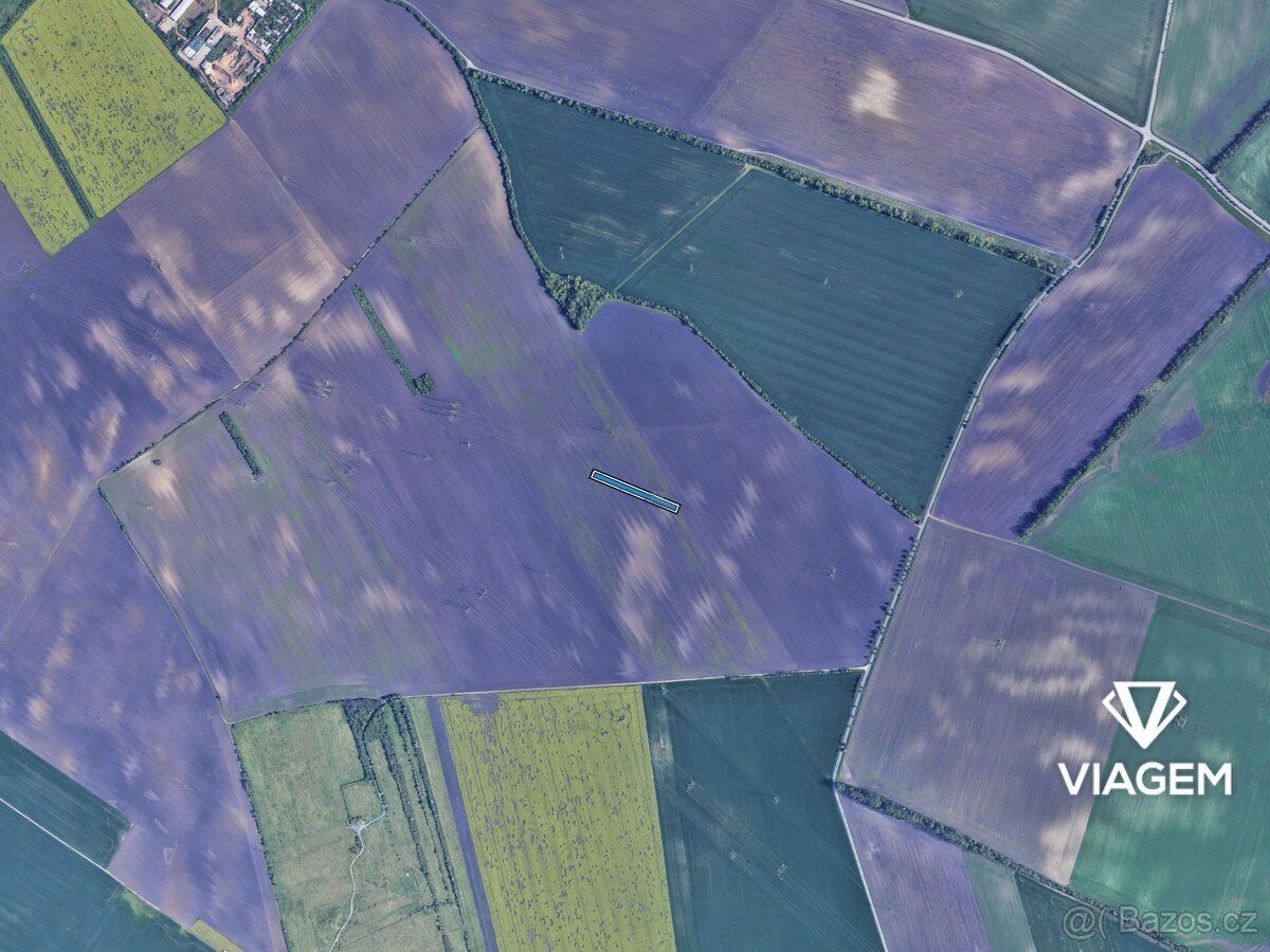 Hledáte ideální investici do budoucnosti? Co může být lepší 