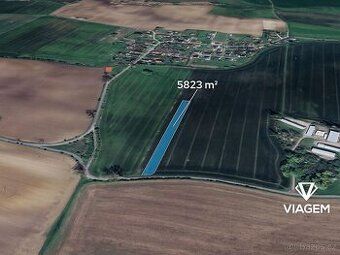 Nabízíme ornou půdu v katastrálním území Kamenice u Konecchl