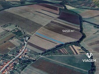 Exkluzivně Vám nabízíme pozemek v katastrálním území Hrubá V