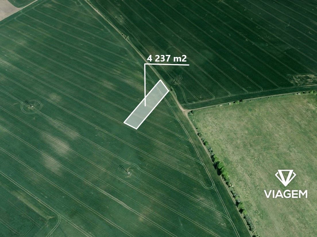 Hledáte investici, která vám zajistí stabilní příjem a ochra