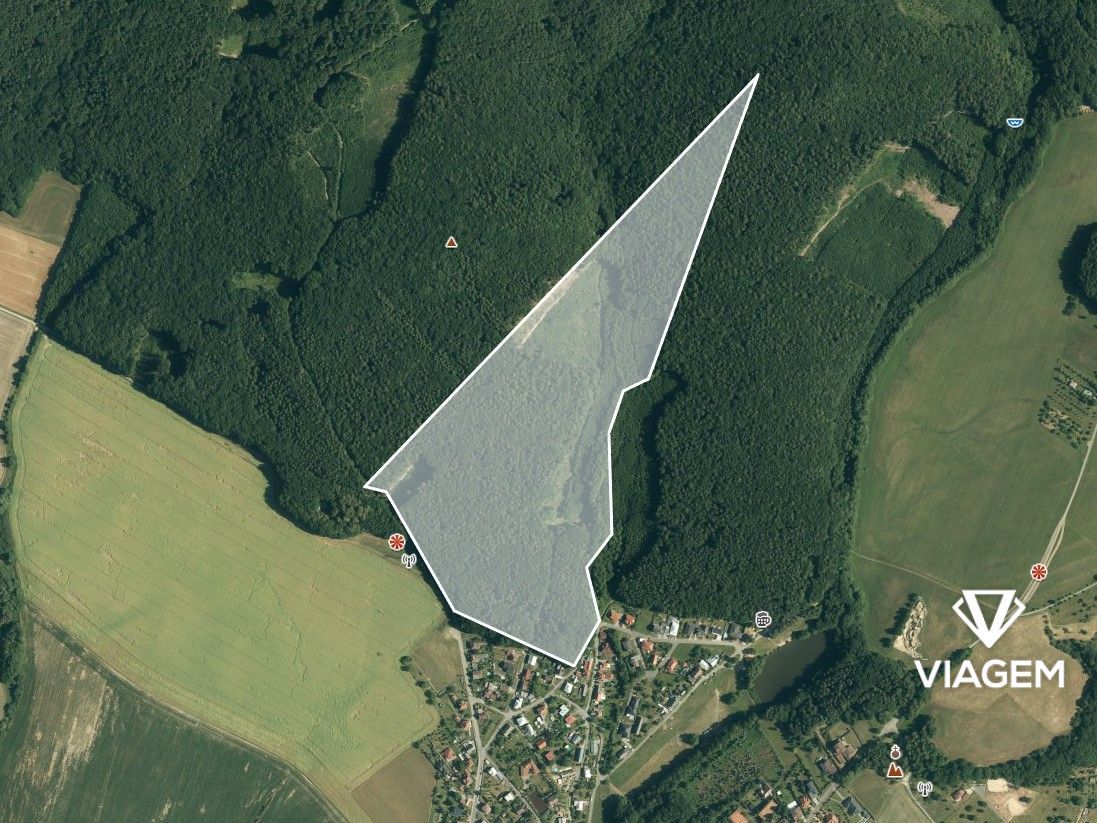 Hledáte investici do lesního pozemku v okrese Zlín? Chcete m
