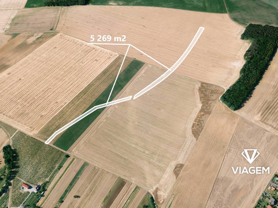 Hledáte ideální investici do budoucnosti? Co může být lepší 