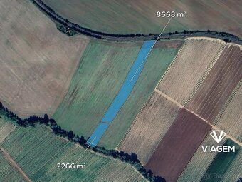Nabízíme ornou půdu v katastrálním území Mutějovice, okres R