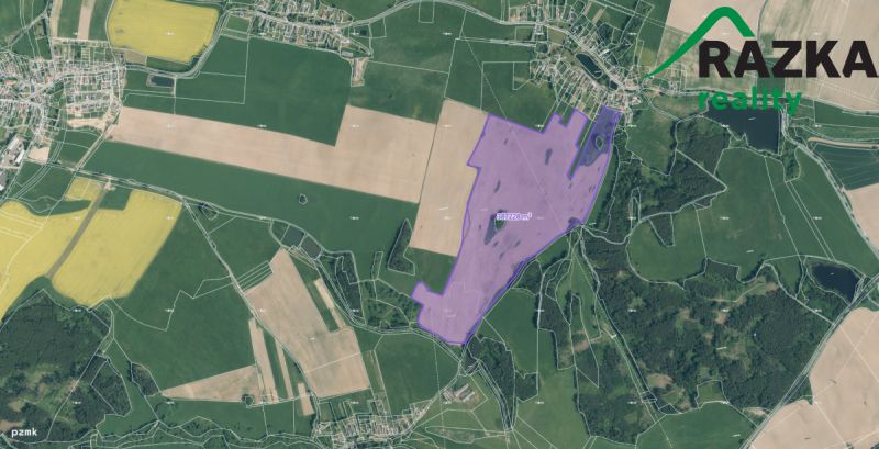 Nabízíme k prodeji ucelené zemědělské pozemky u Tachova, v k
