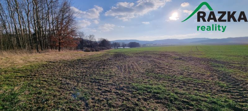 Nabízíme k prodeji ucelené zemědělské pozemky u Tachova, v k