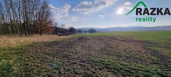 Nabízíme k prodeji ucelené zemědělské pozemky u Tachova, v k