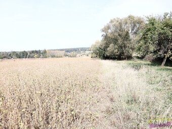 Ev.č. TU13787 Prodej zemědělských pozemků o výměře 27.614 m2