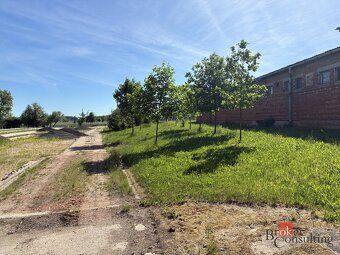 Pronájem, komerční/sklad, 5000 m2, 50364 Měník, Hradec Králo