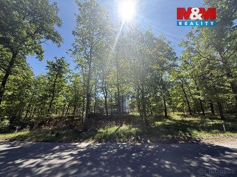 Nabízíme k prodeji lesní pozemek o výměře 3 807 m² v katastr