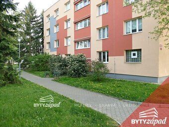 Ev.č. yJSB8628 Naše společnost nabízí k pronájmu slunný byt 