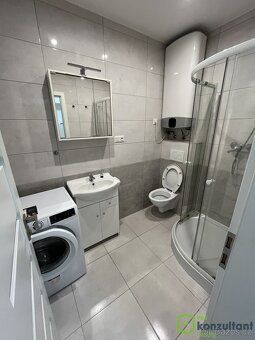 Ev.č. 01176 Pronájem světlého bytu 1+1 po rekonstrukci | ul.