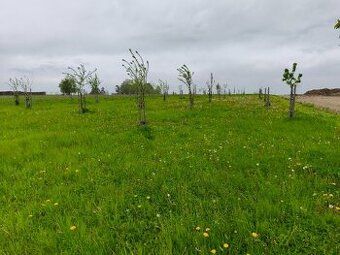 Nabízíme možnost pronájmu velkého pozemku (5.000m2) na okraj