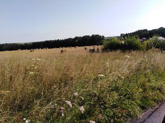 Nabízíme možnost pronájmu velkého pozemku (5.000m2) na okraj