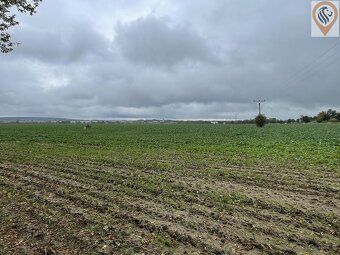 Nabízíme Vám pozemek o rozloze 7001 m² v klidné obci Úhonice