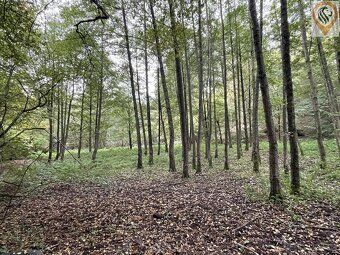 Nabízíme k prodeji lesní pozemek o výměře 8 326 m² v obci Sv
