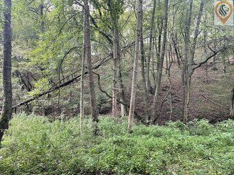 Nabízíme k prodeji lesní pozemek o výměře 8 326 m² v obci Sv