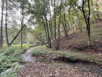 Nabízíme k prodeji lesní pozemek o výměře 8 326 m² v obci Sv
