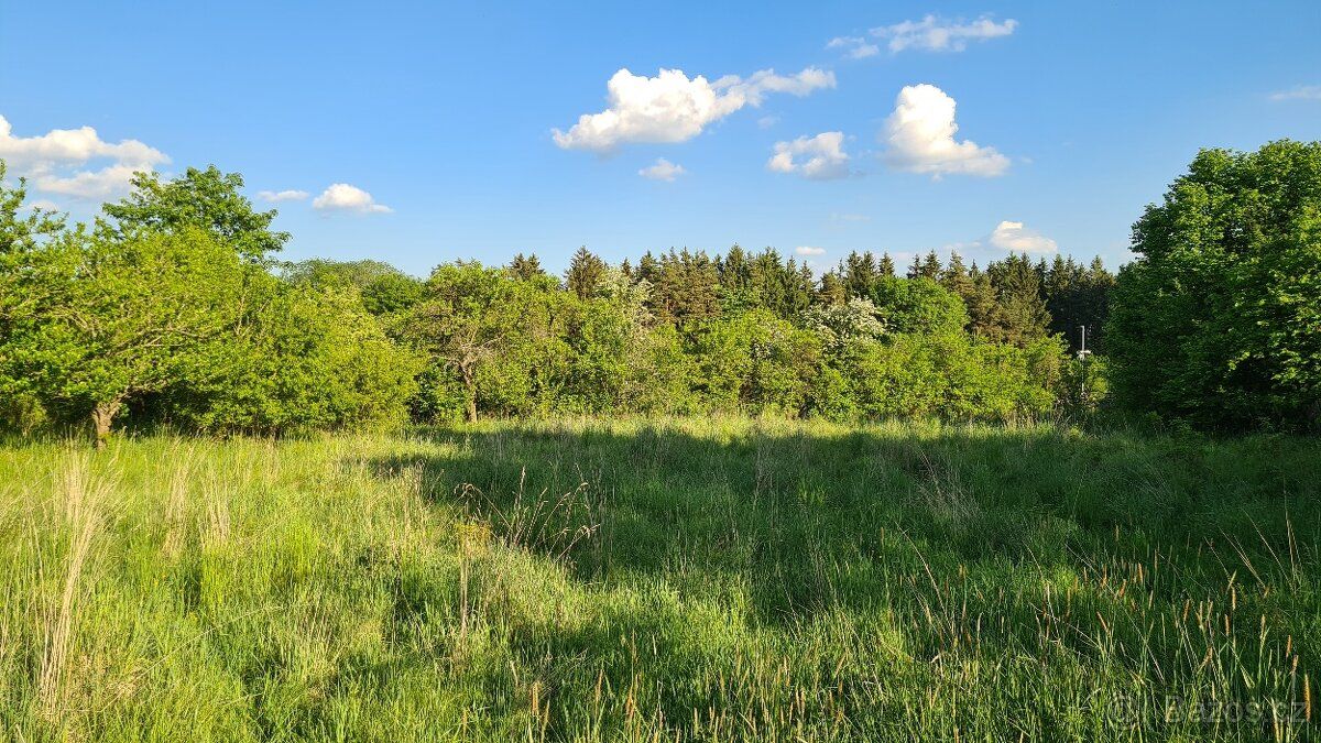 Nabízím dlouhodobý pronájem louky o výměře 1205 m2 v obci Ma