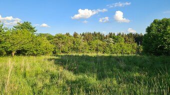 Nabízím dlouhodobý pronájem louky o výměře 1205 m2 v obci Ma