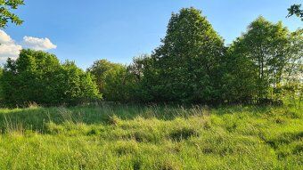 Nabízím dlouhodobý pronájem louky o výměře 1205 m2 v obci Ma