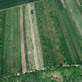 Prodáme ovocný sad o výměře 923 m² v katastru obce Lipov.
Po