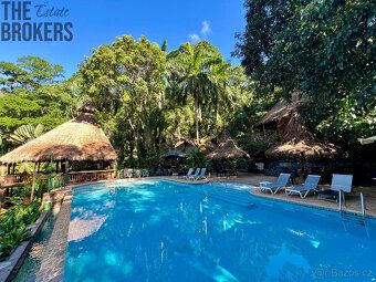 Villas Pico Bonito je plně fungující Jungle Eco Resort, jeho