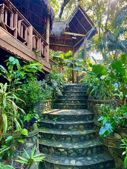 Villas Pico Bonito je plně fungující Jungle Eco Resort, jeho