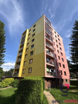 Nabízím Vám k prodeji světlý, dispozičně skvěle řešený byt 2