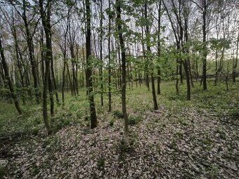 Ev.č. 2026-01-05-094607 U nás nakupujete přímo od vlastníka 