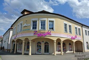 Unfurnished 1+kk in a quiet street opposite the Exhibition Grounds of České Budějovice