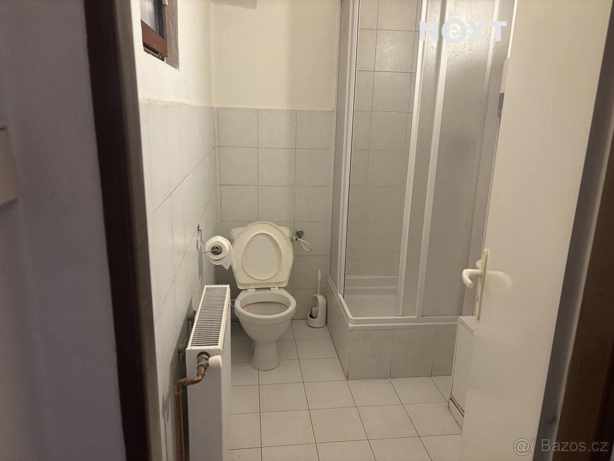 K pronájmu nabízíme komerční prostor o výměře 20 m², který s