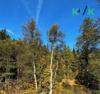 We offer for sale a family house in a quiet part of the village of Rotava, ideal for those…