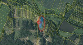 Sell forest land in the cadastral area of Kamberk.