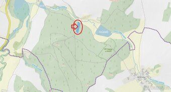 Sell forest land in the cadastral area of Kamberk.
