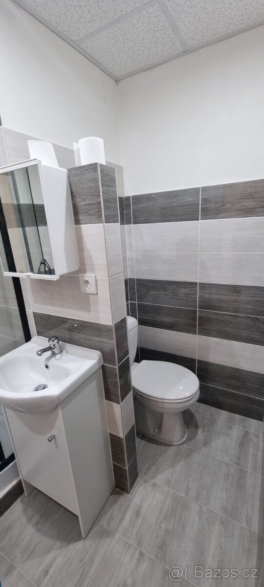 Pronajmu byt v Novém Boru po rekonstrtukci.Velikost 40m2,pro