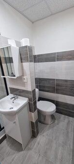 Pronajmu byt v Novém Boru po rekonstrtukci.Velikost 40m2,pro