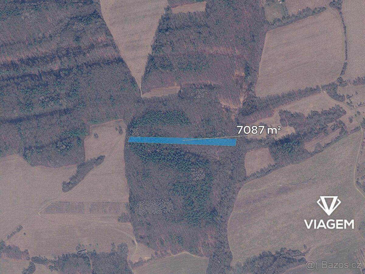 Nabízíme lesní pozemky v katastrálním území Březůvky, okres 