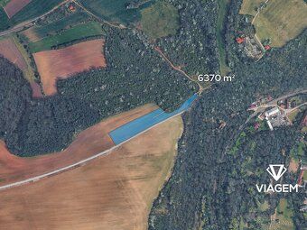 Hledáte investici, která vám přinese stabilní zisk a ochranu