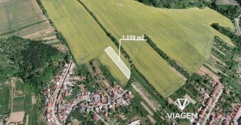 Hledáte ideální investici do budoucnosti? Co může být lepší 
