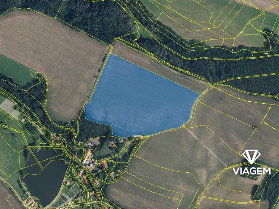 Hledáte ideální investici do budoucnosti? Co může být lepší 