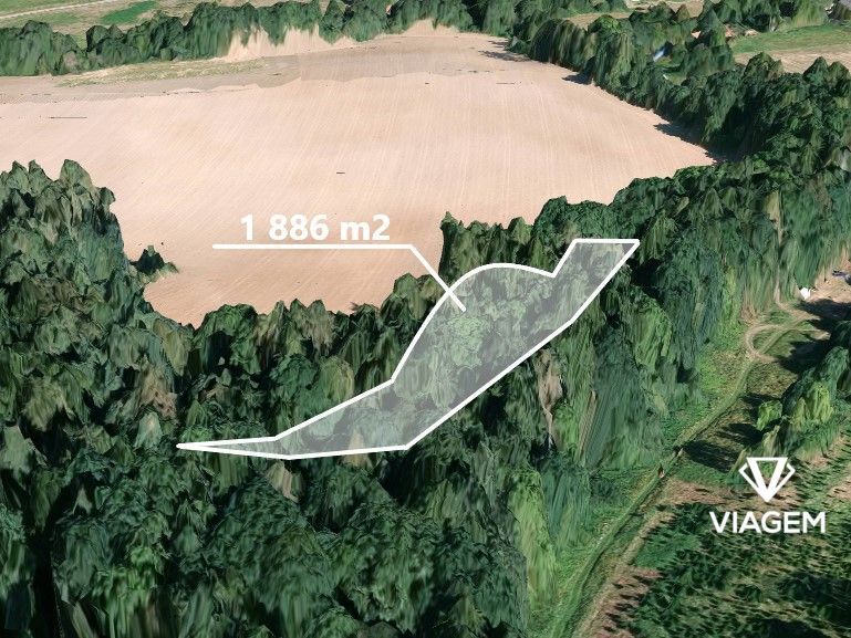 Láka Vás mít svůj vlastní les? Chcete mít 100% vlastnictví b