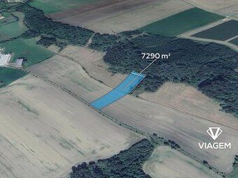Hledáte ideální investici do budoucnosti? Co může být lepší 